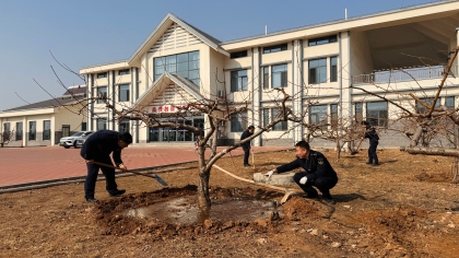 F:\00分公司季度检查\2026年\办公室\3.2026年宣传\3月份\7植树1 F:\00分公司季度检查\2026年\办公室\3.2026年宣传\3月份\7植树1